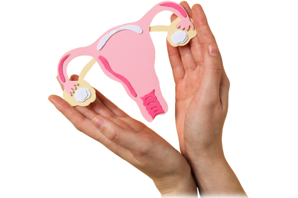 Treatments & Services